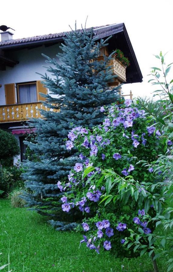 Gaestehaus Loedermann Garmisch-Partenkirchen járás Kültér fotó